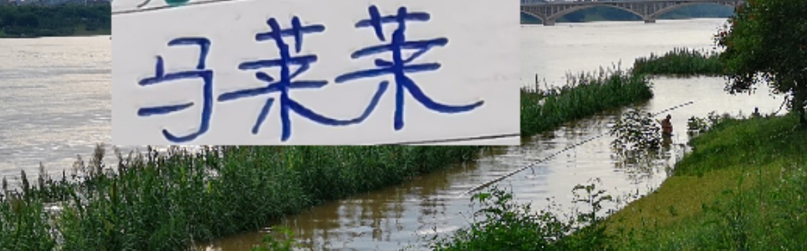 在线体育-如何防隔壁豪华版的马莱莱 是海港穆帅新赛季要应对的一个课题