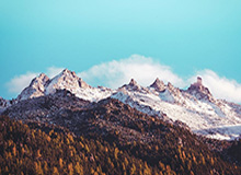 开云投注-淄博市文明观赛公约