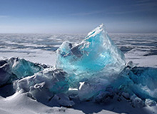 赛事直播-从轮滑到速度滑冰 32岁的郭丹把不可能变成可能